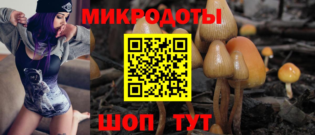 Галлюциногенные грибы MAGIC MUSHROOMS Ачхой-Мартан